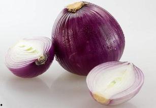 石家庄洋葱最新爆料,揭秘洋葱背后的惊人真相